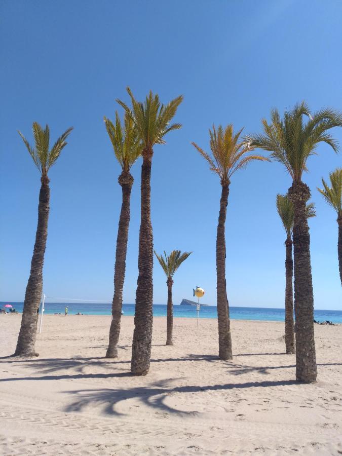 Apartamento Orly Centro Benidorm Exteriör bild
